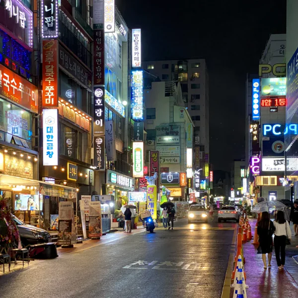 로열 로제아지트 테라피 안내 이미지