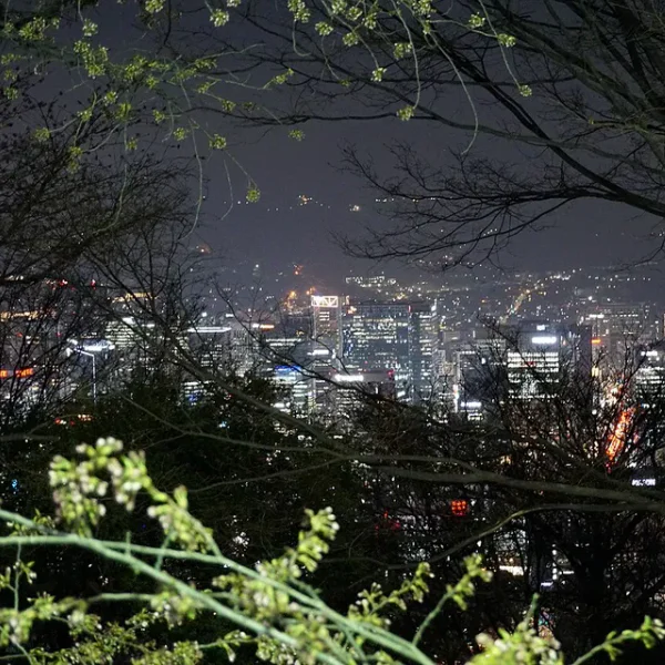 스테이 해린가든 테라피 안내 이미지