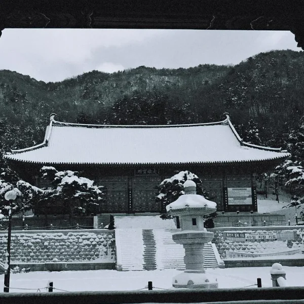 라운지 리브가든 홈타이 제휴업체 이미지